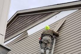 Best Custom Trim and Detailing for Siding  in Warren, OH